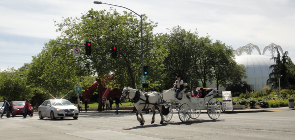 horse drawn carriage seattle