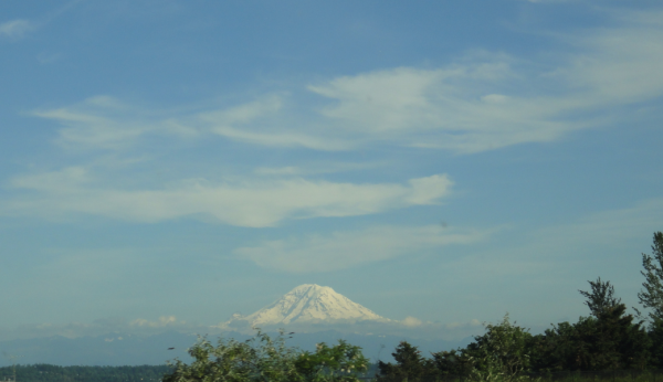 mt rainer