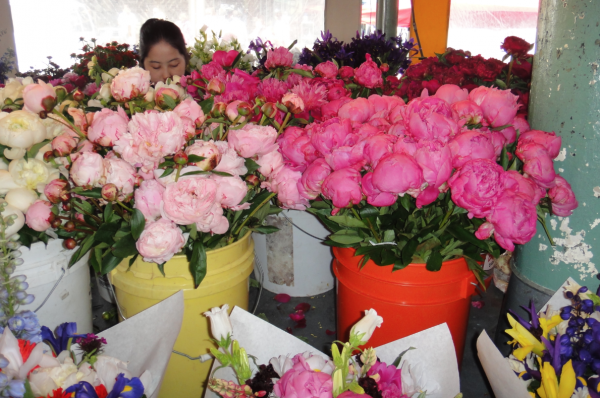 pike place flowers