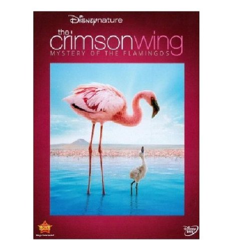 disneynature crimson wing