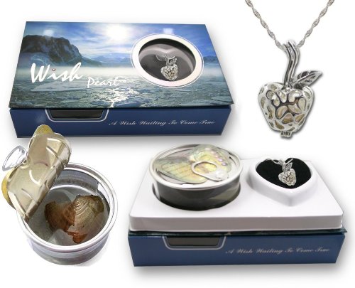 teacher appreciation wish necklace