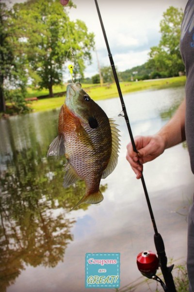 fishing in blue ridge georgia
