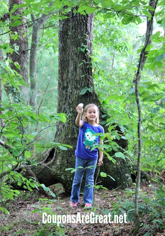 geocaching in blue ridge