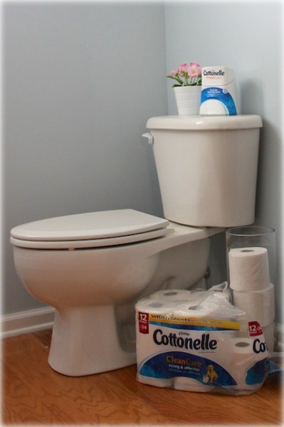 cottonelle fresh care makes a great potty wipe for the whole family