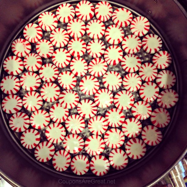 peppermint plate springform pan