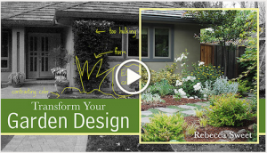 Transform Your Garden Design class