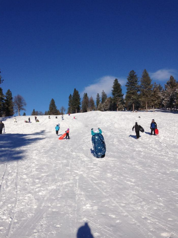 sledding