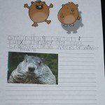 groundhog day by kindergartener